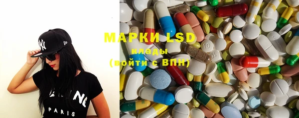 мяу мяу мука Дмитриев