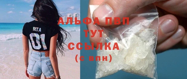 мдпв Гусев