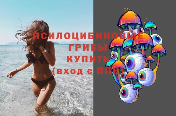 a pvp Дмитровск