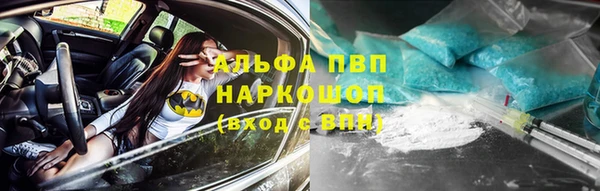 мяу мяу мука Дмитриев